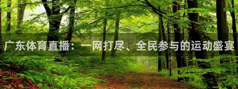 nba免费黑白直播：广东体育直播：一网打尽、全民参与的运动盛宴