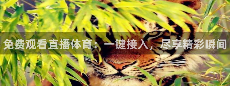 黑白体育直播间：免费观看直播体育：一键接入，尽享精彩瞬间