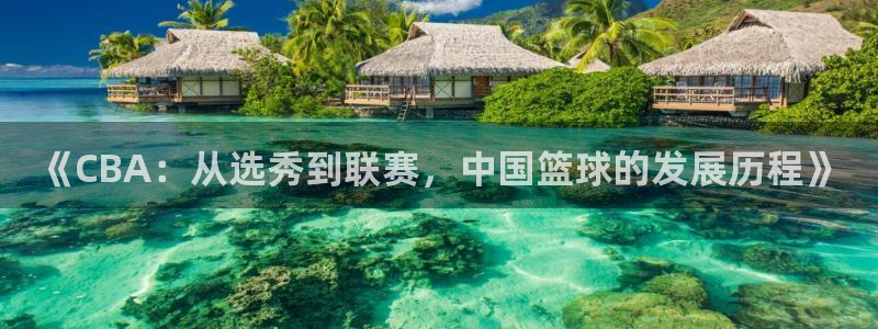 黑白体育直播间：《CBA：从选秀到联赛，中国篮球的发展历程》