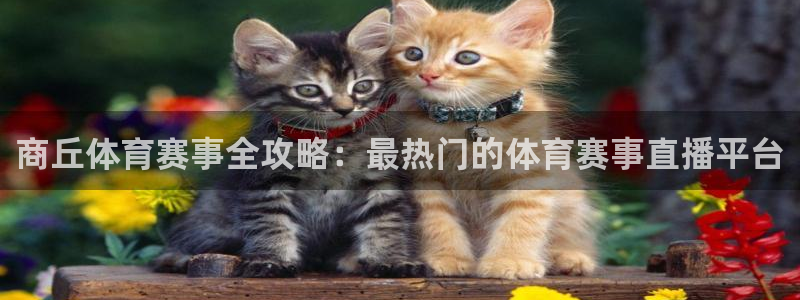 黑白足球直播间：商丘体育赛事全攻略：最热门的体育赛事直播平台