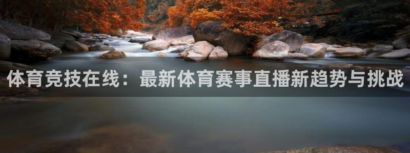 黑白nba直播：体育竞技在线：最新体育赛事直播新趋势与挑战