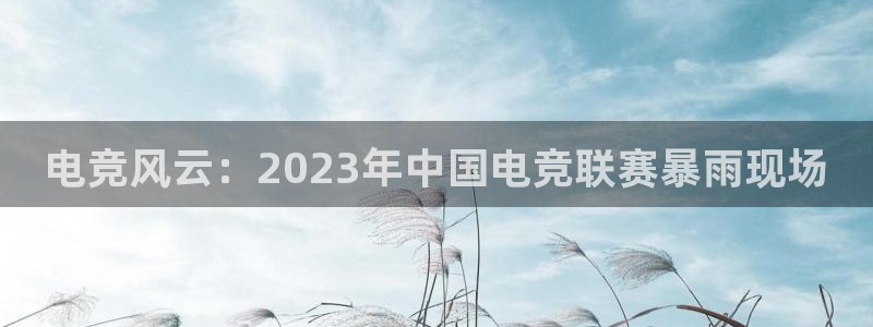 篮球直播黑白：电竞风云：2023年中国电竞联赛暴雨现场