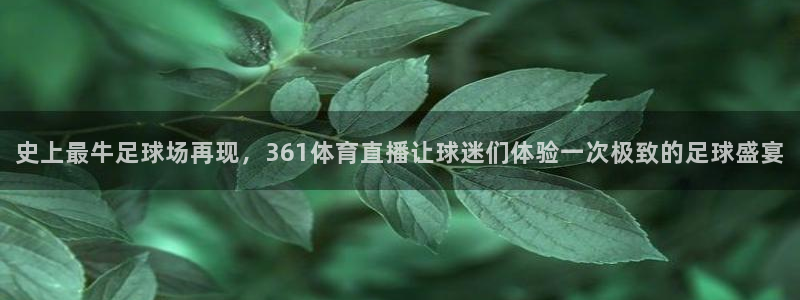 黑白体育直播直播：史上最牛足球场再现，361体育直播让球迷们体验一次极致的足球盛宴
