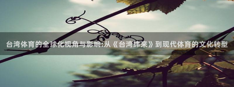 黑白体育直播篮球：台湾体育的全球化视角与影响:从《台湾纬来》到现代体育的文化转型