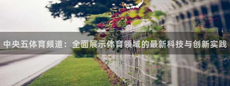 黑白体育直播在线看