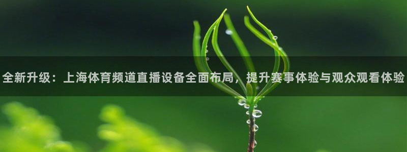黑白直播体育篮球：全新升级：上海体育频道直播设备全面布局，提升赛事体验与观众观看体验